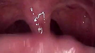 Swallowing Lots of Gummi Bears at Same Time!!