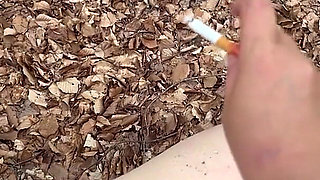 Humiliation in the Forest...