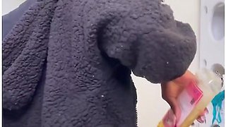 Big Black Booty Riding And Squirting