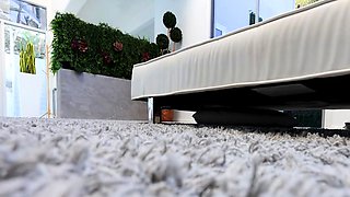 Small tit brunette gives a nice hard blowjob and fuck