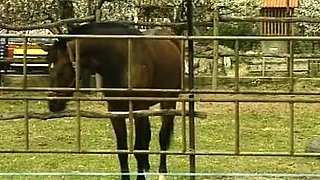 Hardcore vintage anal sex outdoors
