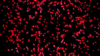 Cum Cum Gangbang Orgy With Sperma Milf Sidney Dark  -  51211