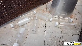 The Shiniest Ass In The Land