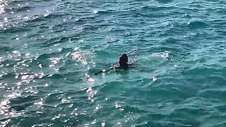 Stopped A Tour Bus To Swim Naked In The Caribbean Sea - Monika Fox