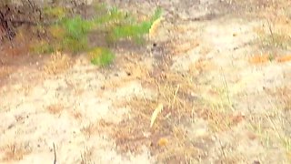 Kinky amateur fist fucked outdoors in a public par