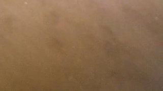 Curvy Girls Shake It, Tease Solo, and Bounce with Passion in Steamy Action