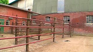 Bound Blonde Submits to Intense BDSM Threesome