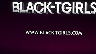 Black TGirls featuring date's transsexual xxx