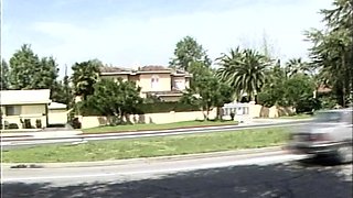 Hardcore Fucking Scenes with Blowjob Giving Brunettes