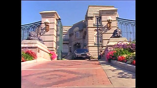 Vintage Wild Sexy Love