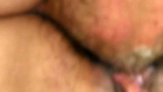 Sweet Gentle Neighbor