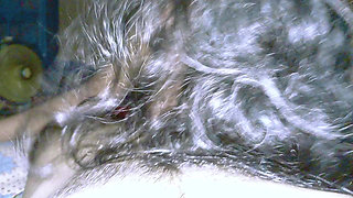 Real blowjob bangla audio real desi girl love making affairs in hotel and