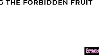 Sinful shemale in the Garden of Eden