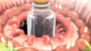 Sperm Hunting Adventure in the Wild Jungle (Hentai Anime)