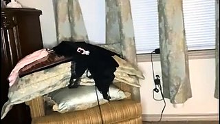 Heidi Lee Bocanegra Onlyfans Naked Try On Video