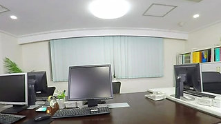 Is It a Shura or a Harem Under the Office Desk?