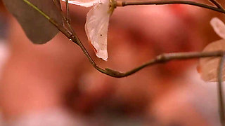 Hot Neighbors in Hot Tub