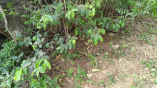 College Uniform Student Outdoor